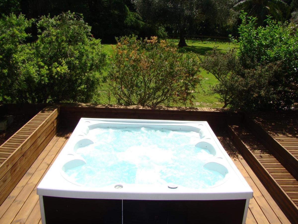 La Villa Saint Andre - Argeles Sur Mer מראה חיצוני תמונה