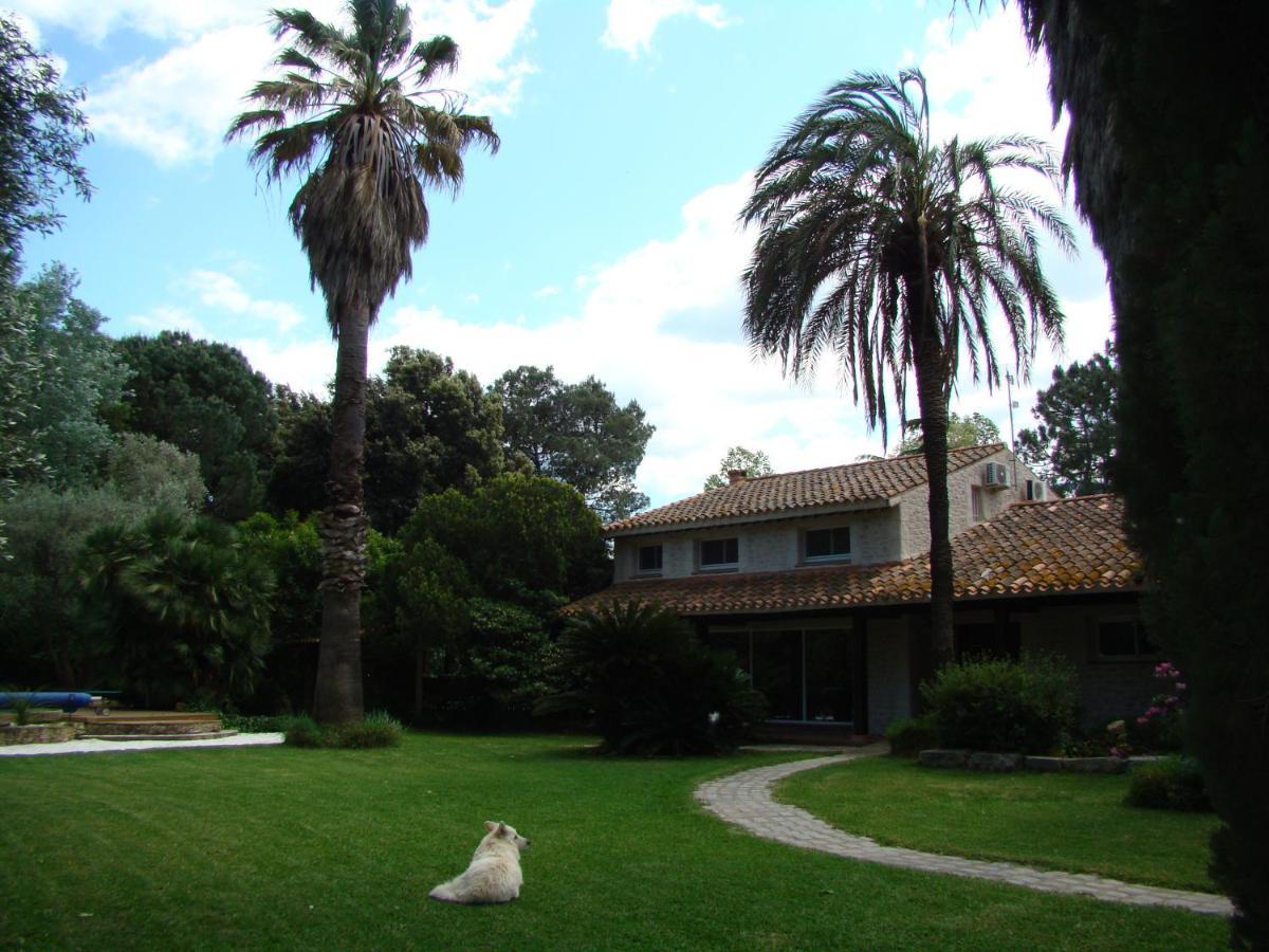 La Villa Saint Andre - Argeles Sur Mer מראה חיצוני תמונה